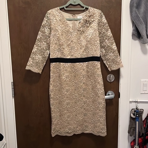 Banana Republic Champagne Metallic Lace Style Dress w Black Waistband Size 10 - Picture 5 of 10